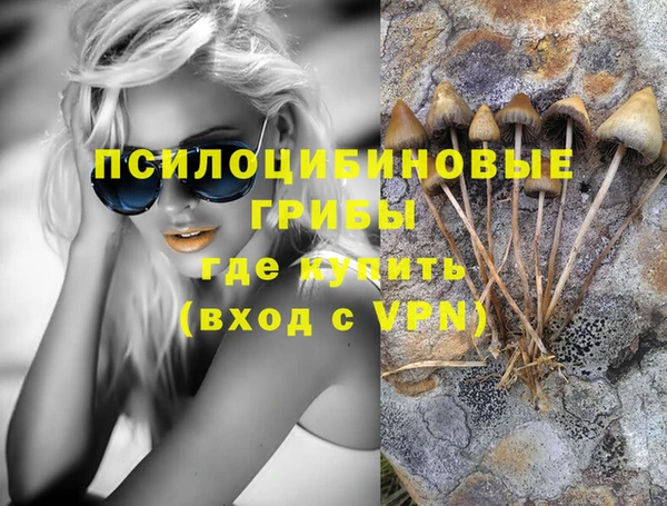 гидропоника Абинск